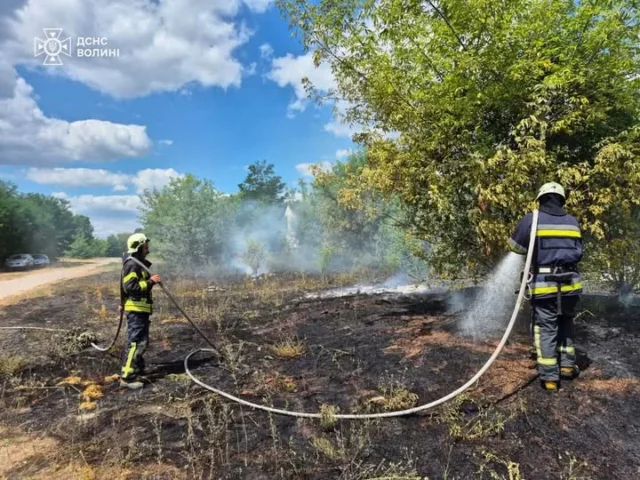 image На Волині за добу ліквідували кілька займань сухостою та торфу