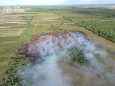 Пожежі у Луцьку та районах Волині 4 липня: горіла квартира, будинок і поля Пожежі у Луцьку та районах Волині 4 липня: горіла квартира, будинок і поля