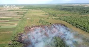 Пожежі у Луцьку та районах Волині 4 липня: горіла квартира, будинок і поля