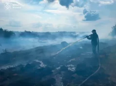 На Волині рятувальники ліквідували кілька займань сухої трави та чагарників На Волині рятувальники ліквідували кілька займань сухої трави та чагарників