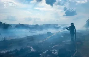 (Українська) На Волині рятувальники ліквідували кілька займань сухої трави та чагарників На Волині рятувальники ліквідували кілька займань сухої трави та чагарників