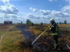 На Волині за добу ліквідували кілька пожеж на відкритих територіях