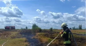 На Волині за добу ліквідували кілька пожеж на відкритих територіях