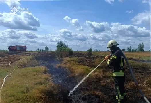 На Волині за добу ліквідували кілька пожеж на відкритих територіях