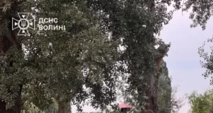 У Теремнівському ставку в Луцьку знайшли тіло хлопця 2006 року народження