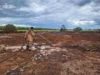 На Волині рятувальники гасять торф’яні пожежі у трьох районах
