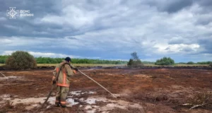На Волині рятувальники гасять торф’яні пожежі у трьох районах