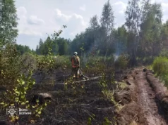 Поблизу села Копилля загасили пожежу лісової підстилки Поблизу села Копилля загасили пожежу лісової підстилки