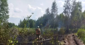 Поблизу села Копилля загасили пожежу лісової підстилки
