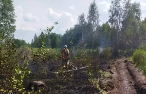 Поблизу села Копилля загасили пожежу лісової підстилки