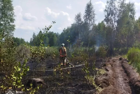 Поблизу села Копилля загасили пожежу лісової підстилки
