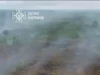 Поблизу села Тойкут у Ковельському районі триває гасіння торф’яної пожежі