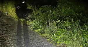 У Ковельському районі травмувалася 16-річна водійка електроскутера