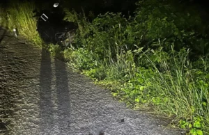 У Ковельському районі травмувалася 16-річна водійка електроскутера