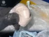 У Луцьку затримали агресивного чоловіка з речовиною, схожою на наркотичну