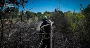 На Волині за добу рятувальники загасили чотири пожежі в екосистемах
