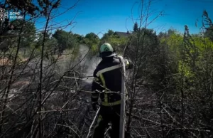 На Волині за добу рятувальники загасили чотири пожежі в екосистемах