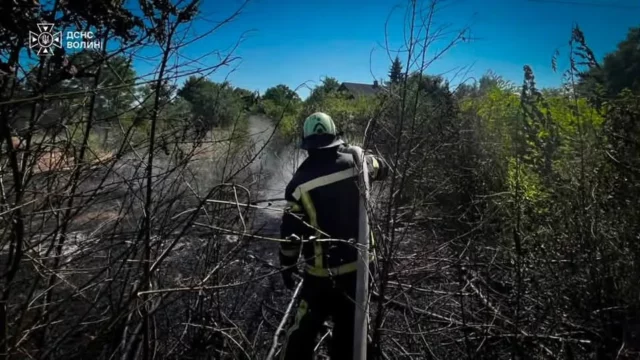 image На Волині за добу рятувальники загасили чотири пожежі в екосистемах