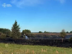 На Волині гасять пожежу торфу в Камінь-Каширському районі, у Володимирському її вже ліквідували