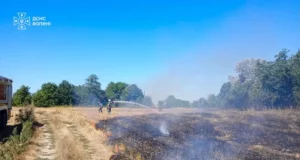 На Луцькому районі за добу загасили сім пожеж сухої рослинності