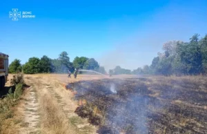 На Луцькому районі за добу загасили сім пожеж сухої рослинності