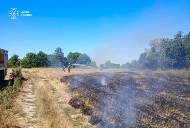 На Луцькому районі за добу загасили сім пожеж сухої рослинності