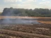 На Камінь-Каширщині за добу загасили кілька пожеж в екосистемах