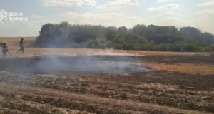 На Камінь-Каширщині за добу загасили кілька пожеж в екосистемах