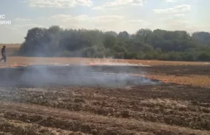 На Камінь-Каширщині за добу загасили кілька пожеж в екосистемах