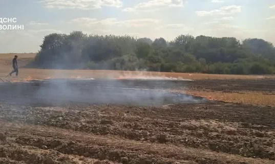 На Камінь-Каширщині за добу загасили кілька пожеж в екосистемах