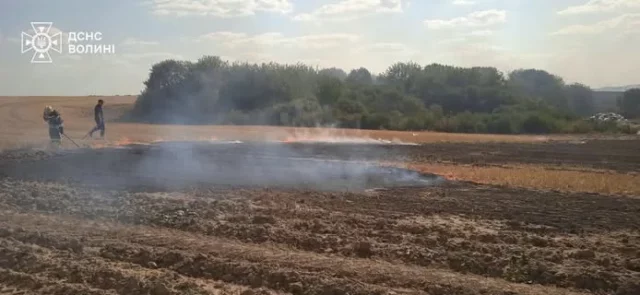 На Камінь-Каширщині за добу загасили кілька пожеж в екосистемах