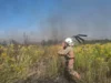 На Ковельщині за добу загасили три пожежі в екосистемах, одного порушника оштрафують