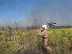 На Ковельщині за добу загасили три пожежі в екосистемах, одного порушника оштрафують