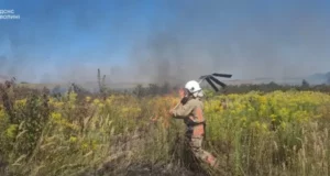 На Ковельщині за добу загасили три пожежі в екосистемах, одного порушника оштрафують