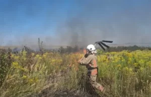 На Ковельщині за добу загасили три пожежі в екосистемах, одного порушника оштрафують На Ковельщині за добу загасили три пожежі в екосистемах, одного порушника оштрафують