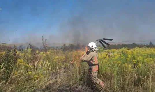 На Ковельщині за добу загасили три пожежі в екосистемах, одного порушника оштрафують