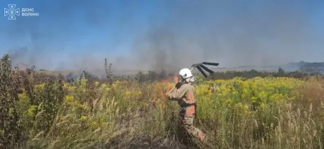 image На Ковельщині за добу загасили три пожежі в екосистемах, одного порушника оштрафують
