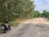 У селі Черче в ДТП травмувалися двоє неповнолітніх У селі Черче в ДТП травмувалися двоє неповнолітніх