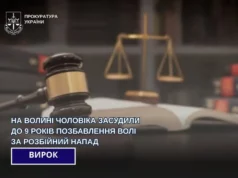 У Ковелі 33-річного чоловіка засудили до 9 років за розбійний напад