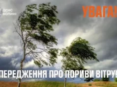 На Волині 20 серпня очікують посилення вітру На Волині 20 серпня очікують посилення вітру