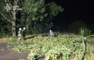Поблизу села Озерці рятувальники прибрали дерево з дороги