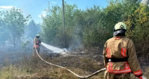 На Волині за добу загасили п’ять пожеж в екосистемах
