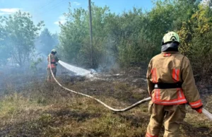 На Волині за добу загасили п’ять пожеж в екосистемах
