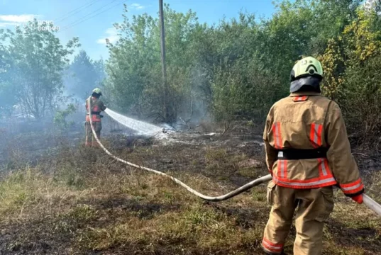 На Волині за добу загасили п’ять пожеж в екосистемах