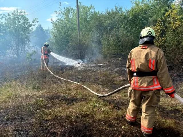 image На Волині за добу загасили п’ять пожеж в екосистемах