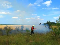 У Ковельському та Луцькому районах за день ліквідували три пожежі сухостою