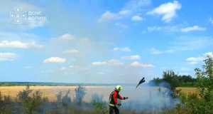 У Ковельському та Луцькому районах за день ліквідували три пожежі сухостою