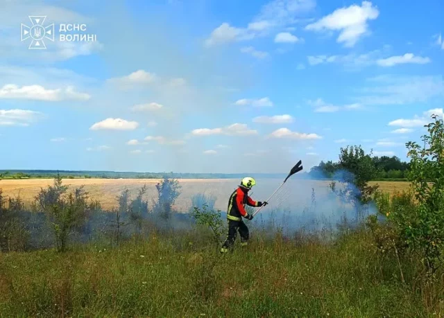 image У Ковельському та Луцькому районах за день ліквідували три пожежі сухостою