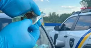 На Волині інспектори ТОР виявили у двох чоловіків речовини, схожі на наркотики