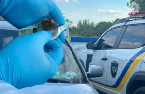 На Волині інспектори ТОР виявили у двох чоловіків речовини, схожі на наркотики На Волині інспектори ТОР виявили у двох чоловіків речовини, схожі на наркотики
